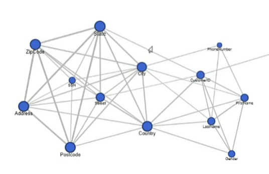 Informatica Graph Data Model